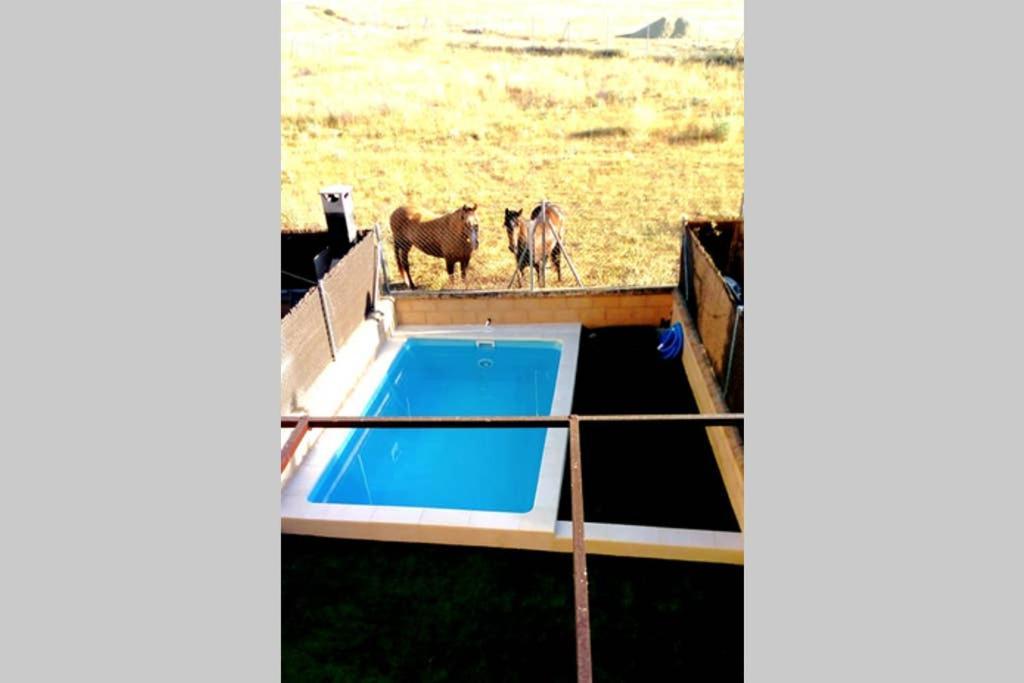 La Espiga De La Mata Villa Сеговия Екстериор снимка